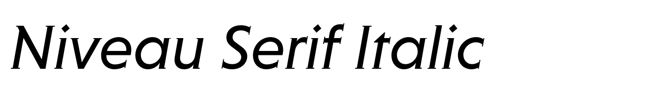 Niveau Serif Italic